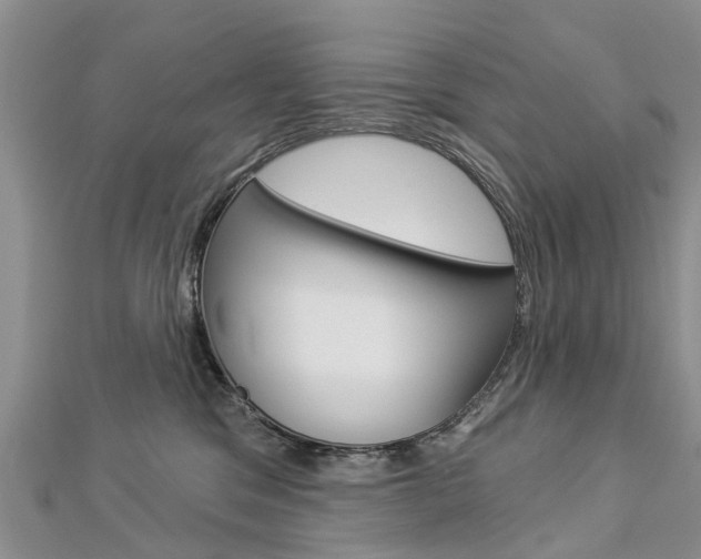 X0000112820329200908211005