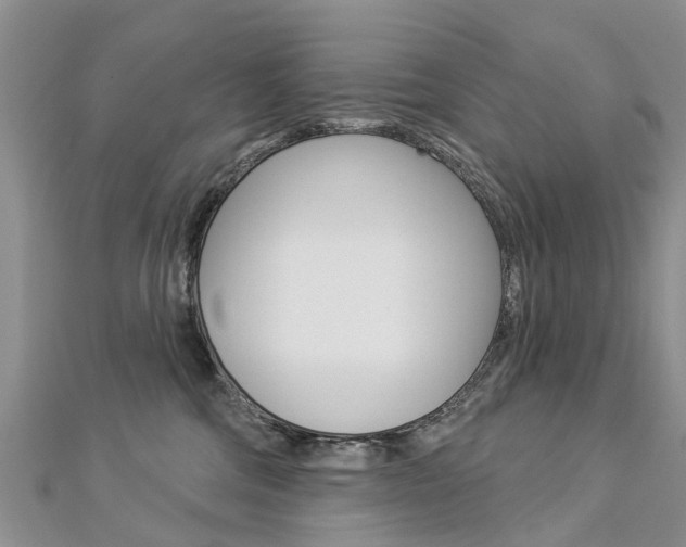 X0000112820330200908211005
