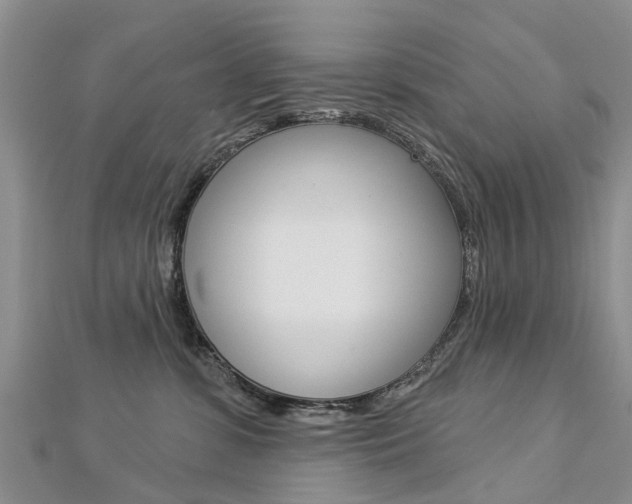 X0000112820331200908211005