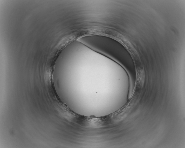 X0000112820333200908211005
