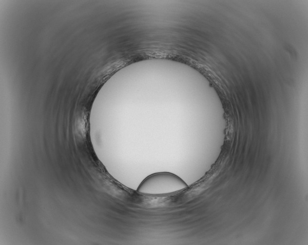 X0000112820334200908211005