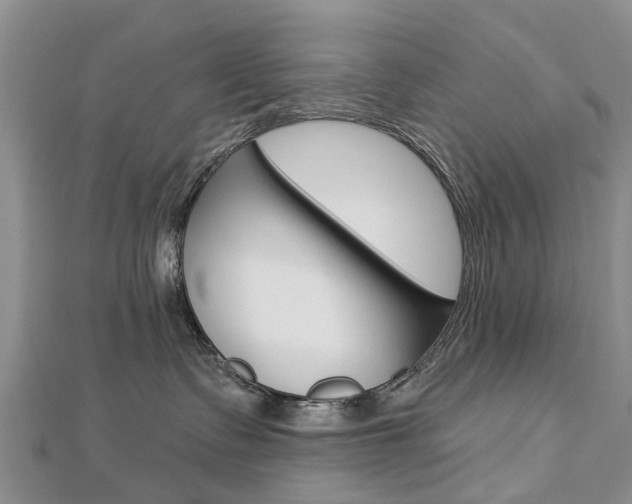X0000112820335200908211005
