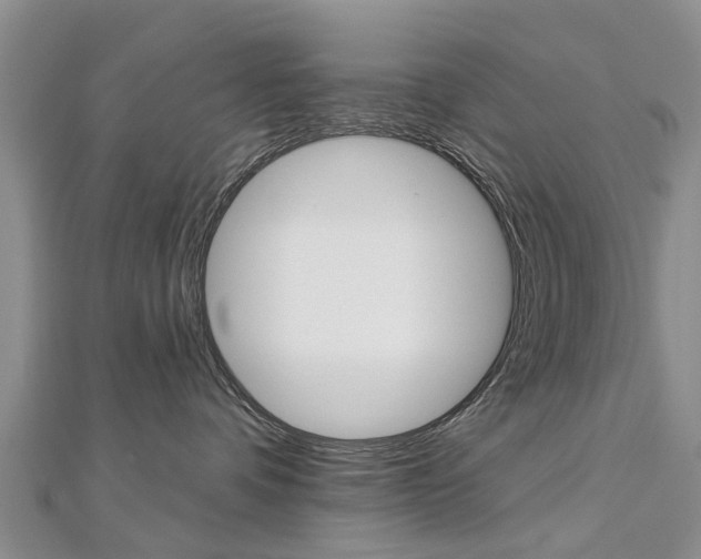X0000112820336200908211005