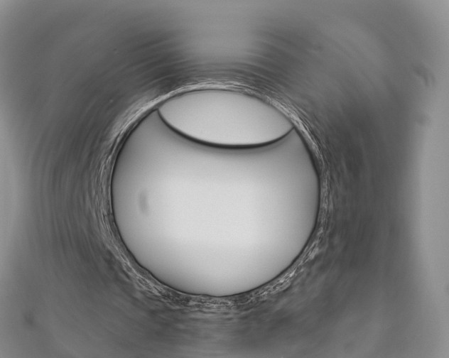 X0000112820337200908211004