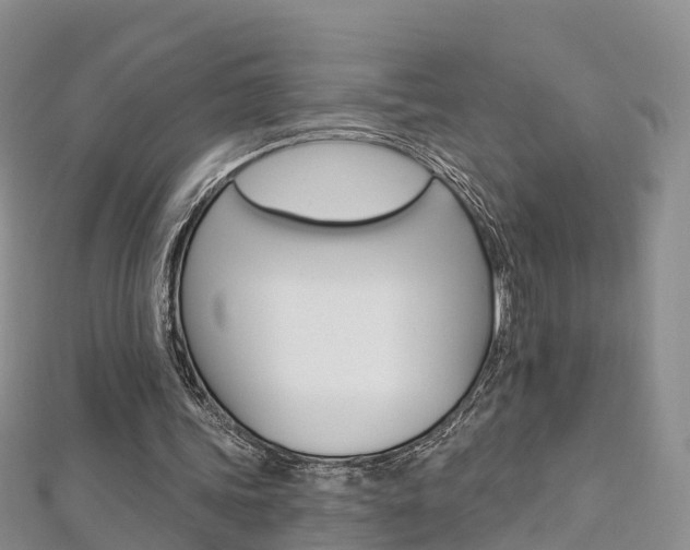 X0000112820339200908211004