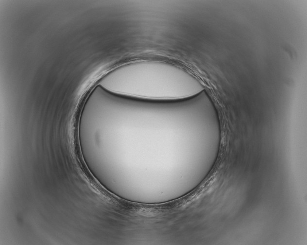 X0000112820341200908211004