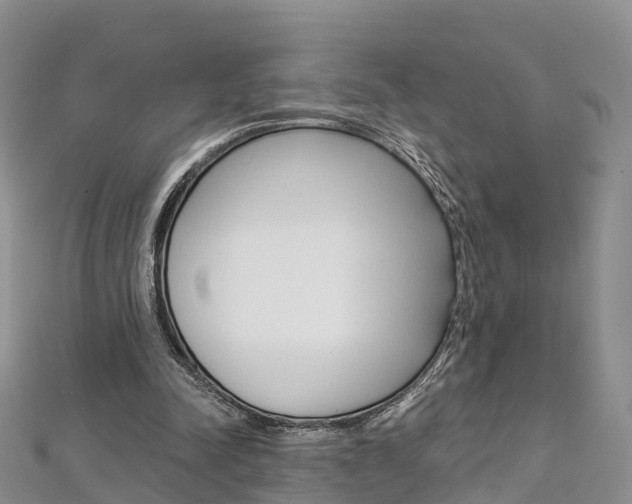 X0000112820342200908211004