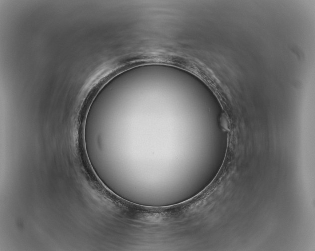X0000112820344200908211004