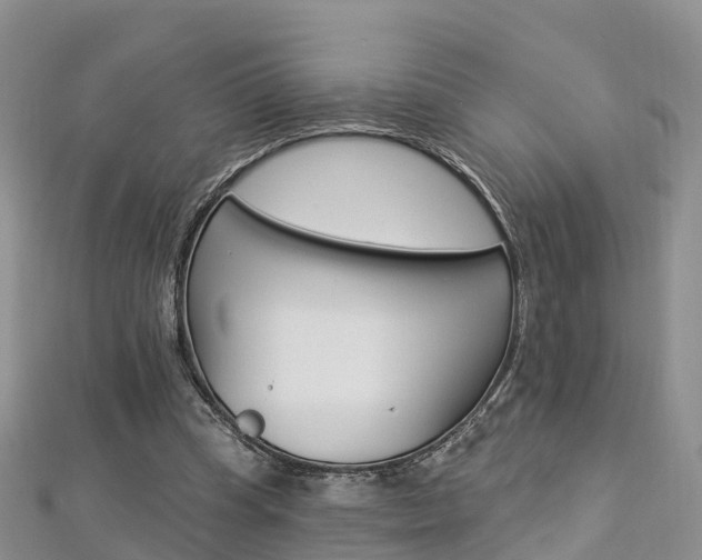 X0000112820345200908211004