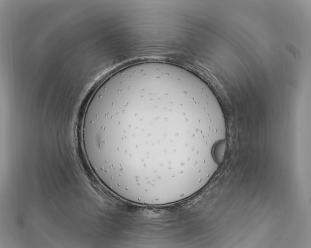 X0000112820346200908211004