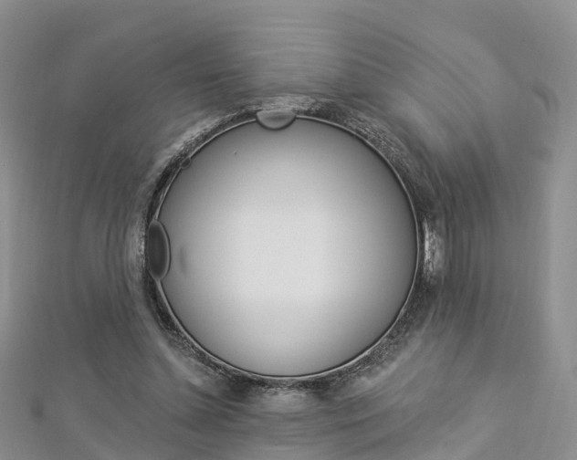 X0000112820348200908211004