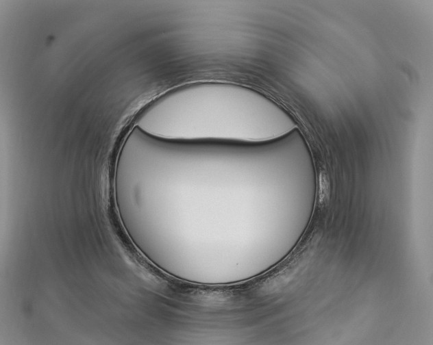 X0000112820349200908211004