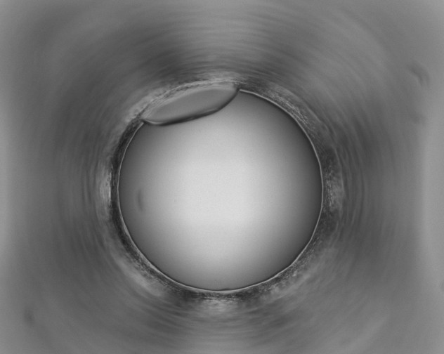 X0000112820350200908211005
