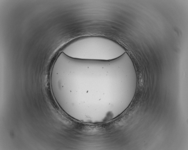 X0000112820351200908211005