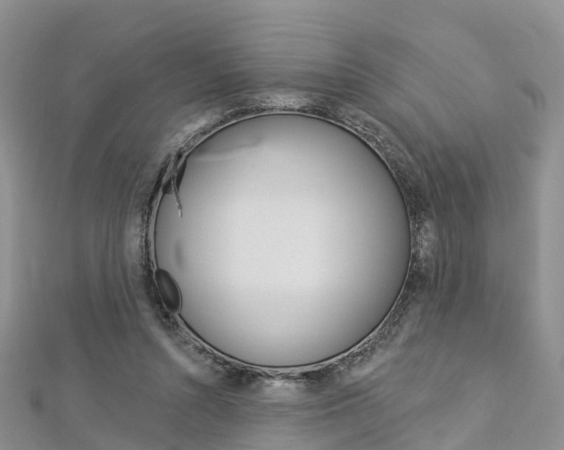 X0000112820352200908211005