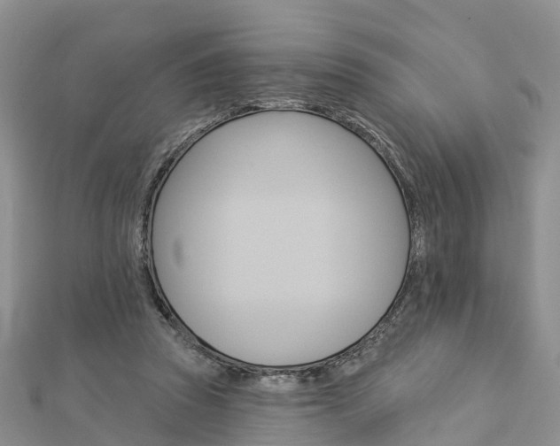 X0000112820353200908211005