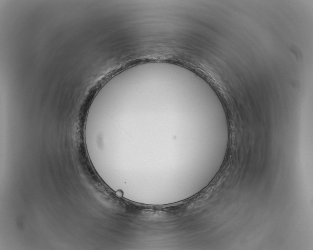 X0000112820354200908211005