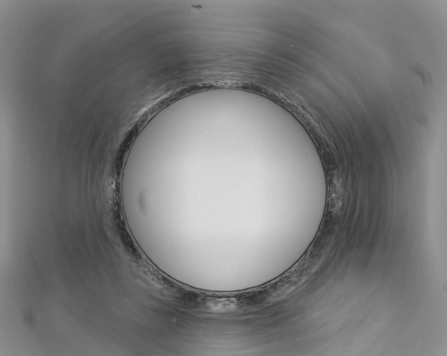 X0000112820355200908211005