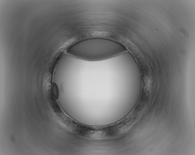 X0000112820356200908211005