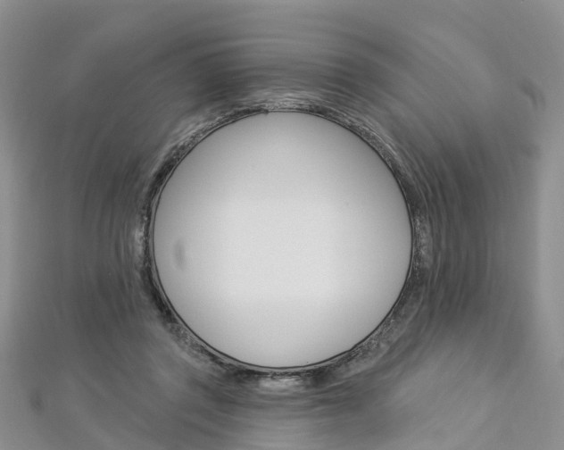 X0000112820357200908211005
