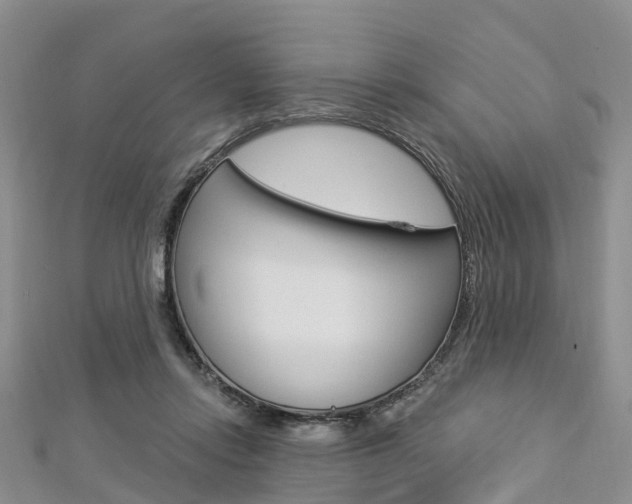 X0000112820358200908211005