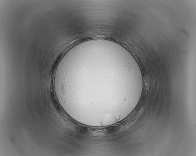 X0000112820359200908211005
