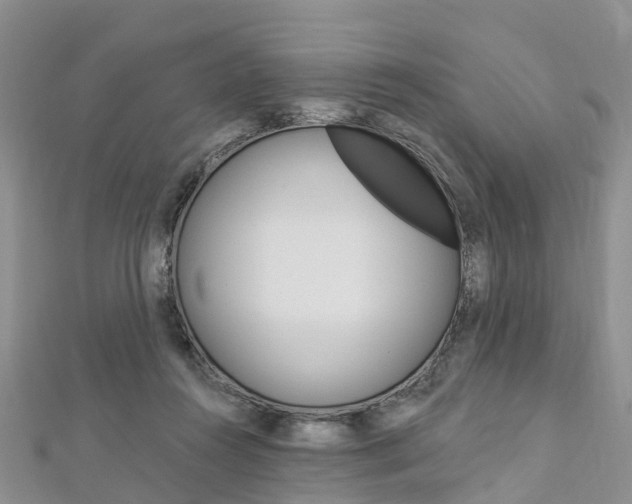X0000112820360200908211005