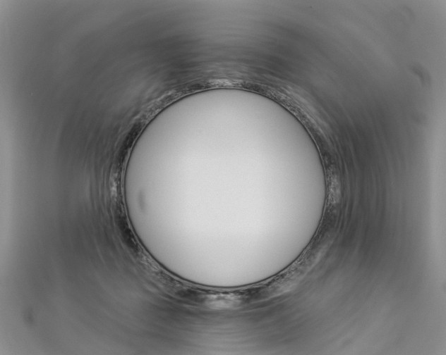 X0000112820363200908211005