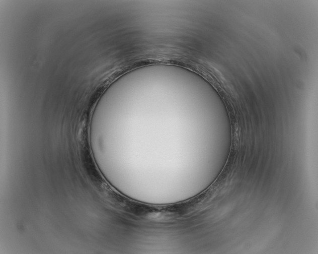 X0000112820364200908211005