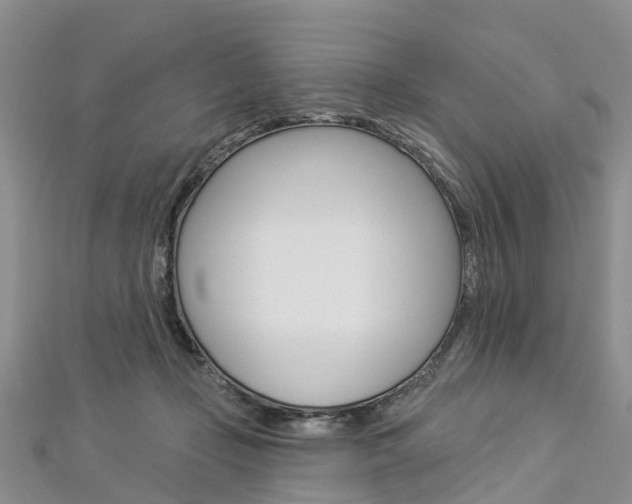 X0000112820365200908211005