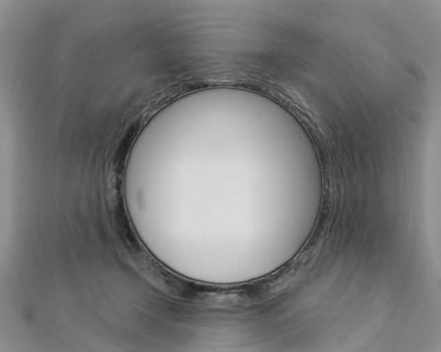 X0000112820366200908211005