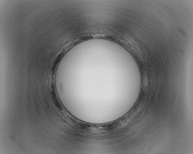 X0000112820367200908211005
