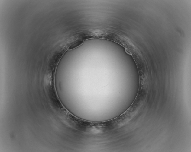 X0000112820368200908211005