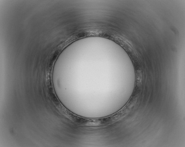 X0000112820369200908211005