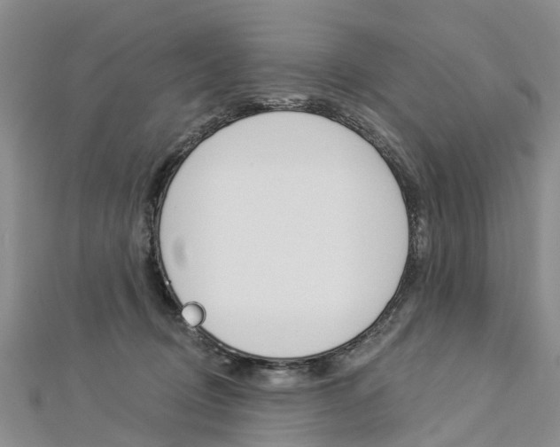 X0000112820370200908211005