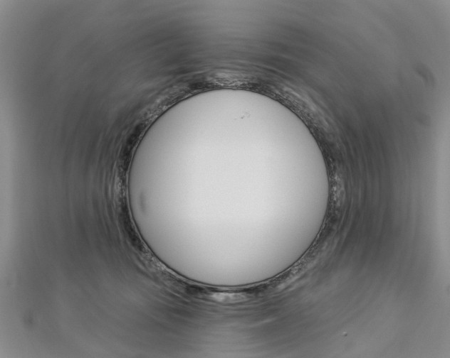 X0000112820371200908211005