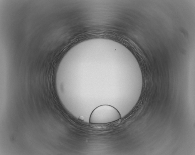 X0000112820372200908211005