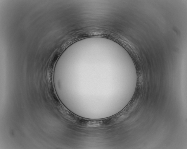 X0000112820373200908211005