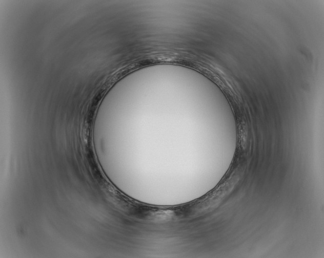 X0000112820374200908211005