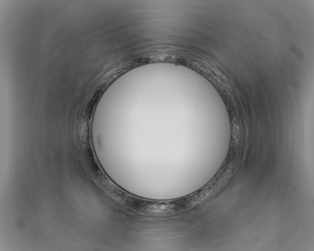 X0000112820375200908211005