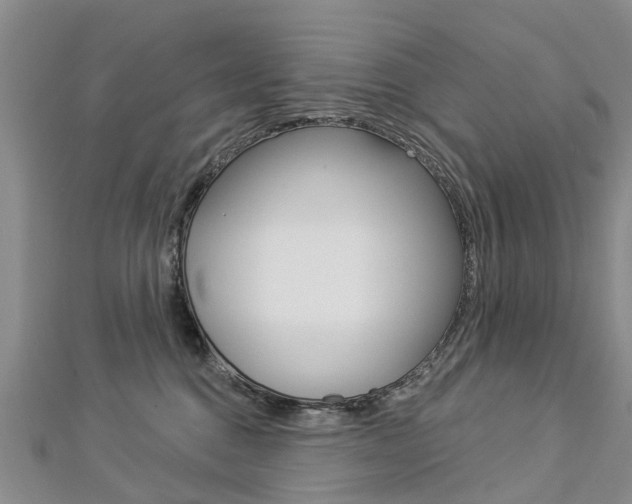 X0000112820376200908211005