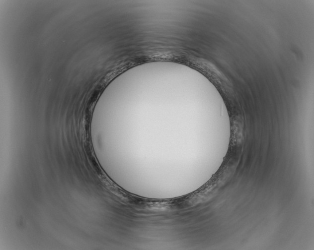 X0000112820377200908211005