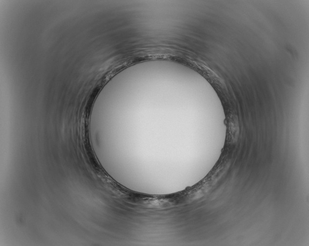 X0000112820379200908211005