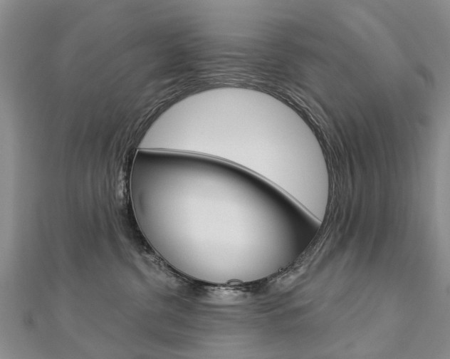 X0000112820380200908211005