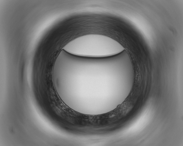 X0000112820383200908211005