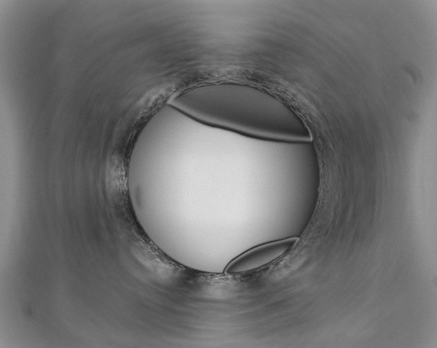 X0000112820384200908211005