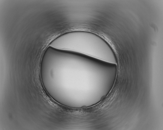 X0000112820385200908211004