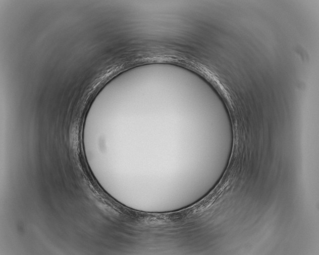 X0000112820386200908211004