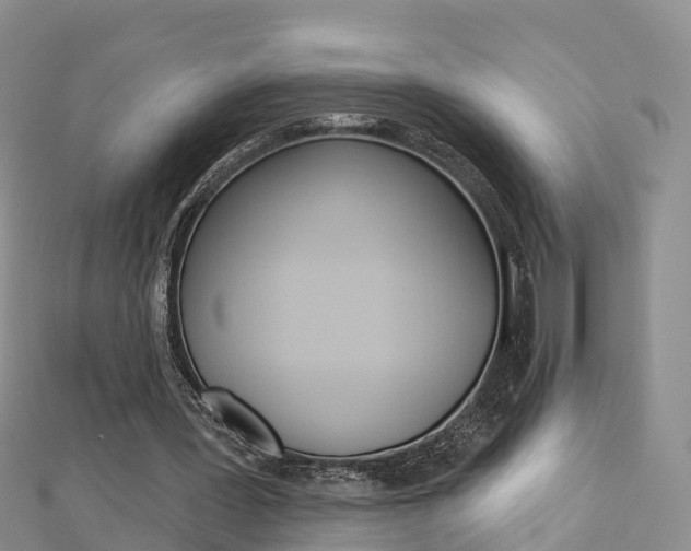 X0000112820387200908211004
