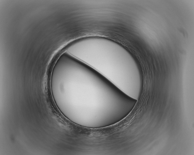 X0000112820388200908211004
